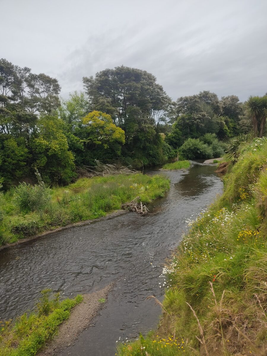 Akl Tewairoa Cg 25 Hero Shot