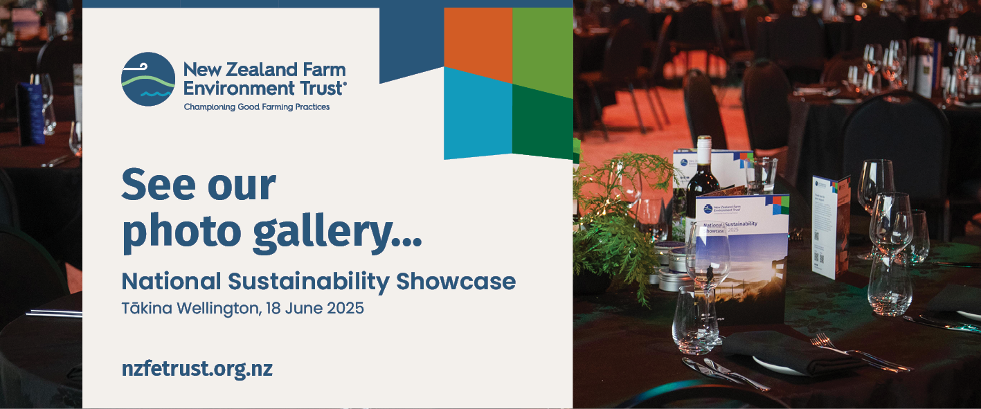 Bfea0057 See Our Photo Gallery Showcase 20253