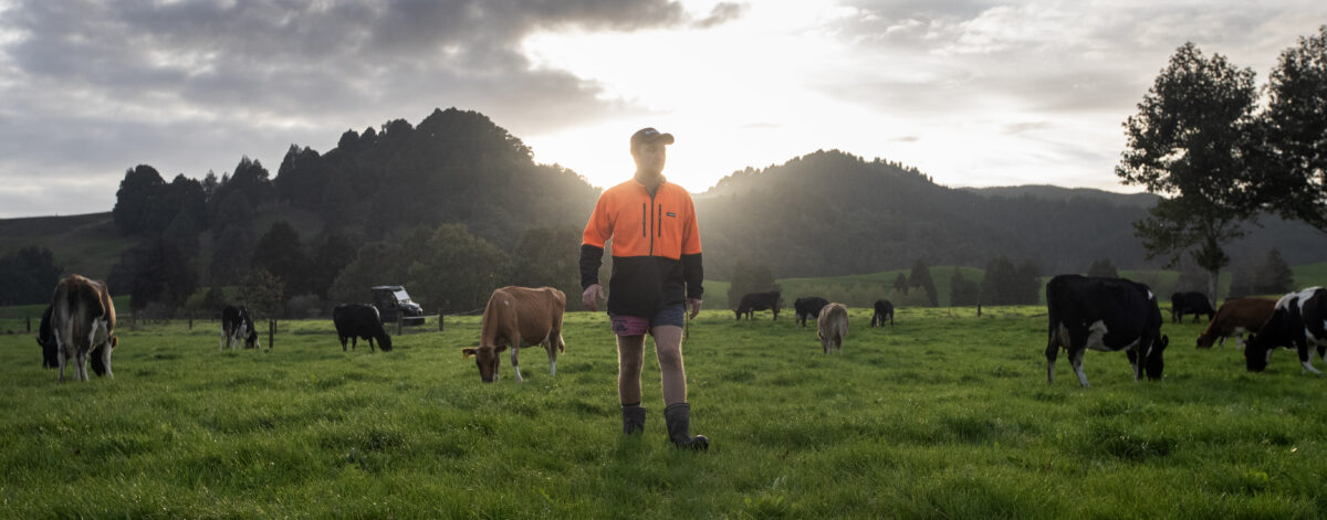Waikato 008