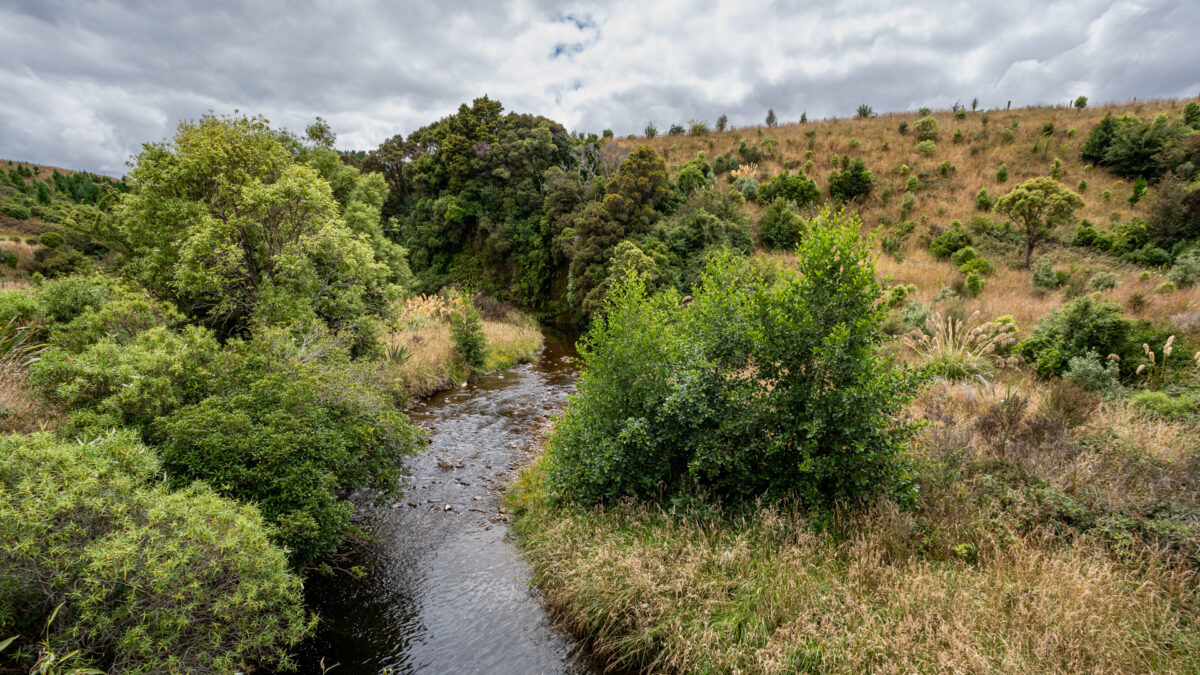 Wgn Upperwaipoua Cg 25 Hero Shot