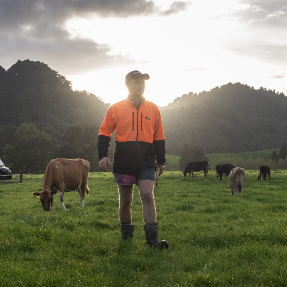 Waikato 008
