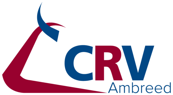 Partners Logo Crv